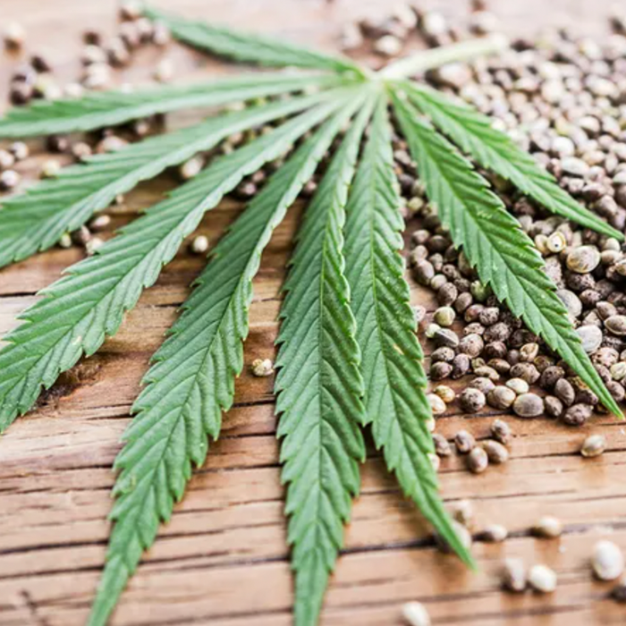 All Cannabis Seeds are now Legal to Sell Under Hemp