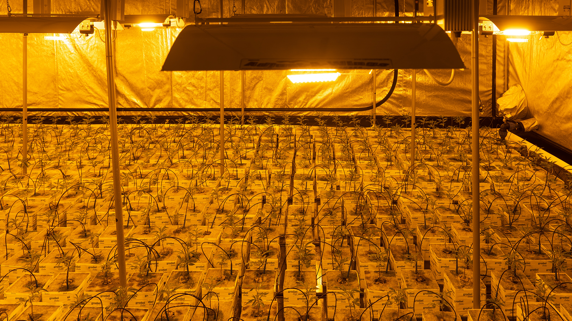 Grow Guide for New Farmers