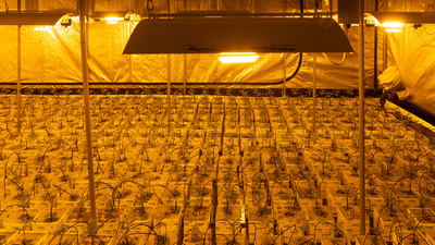Grow Guide for New Farmers