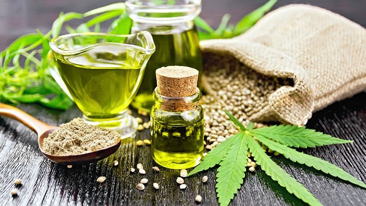 Triogene Seeds Hemp