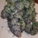 Biscotti Pippen Feminized Weed Buds