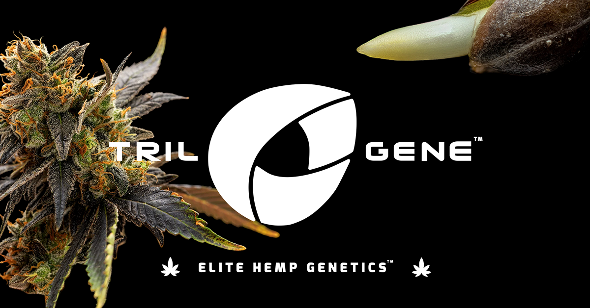 trilogeneseeds.com