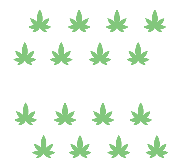 Graphic of green CBD/Marijuana leaves surrounding the word cultivation.