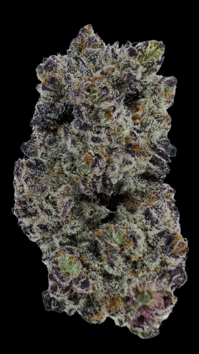 tts_1200x1200_crop_center.png?